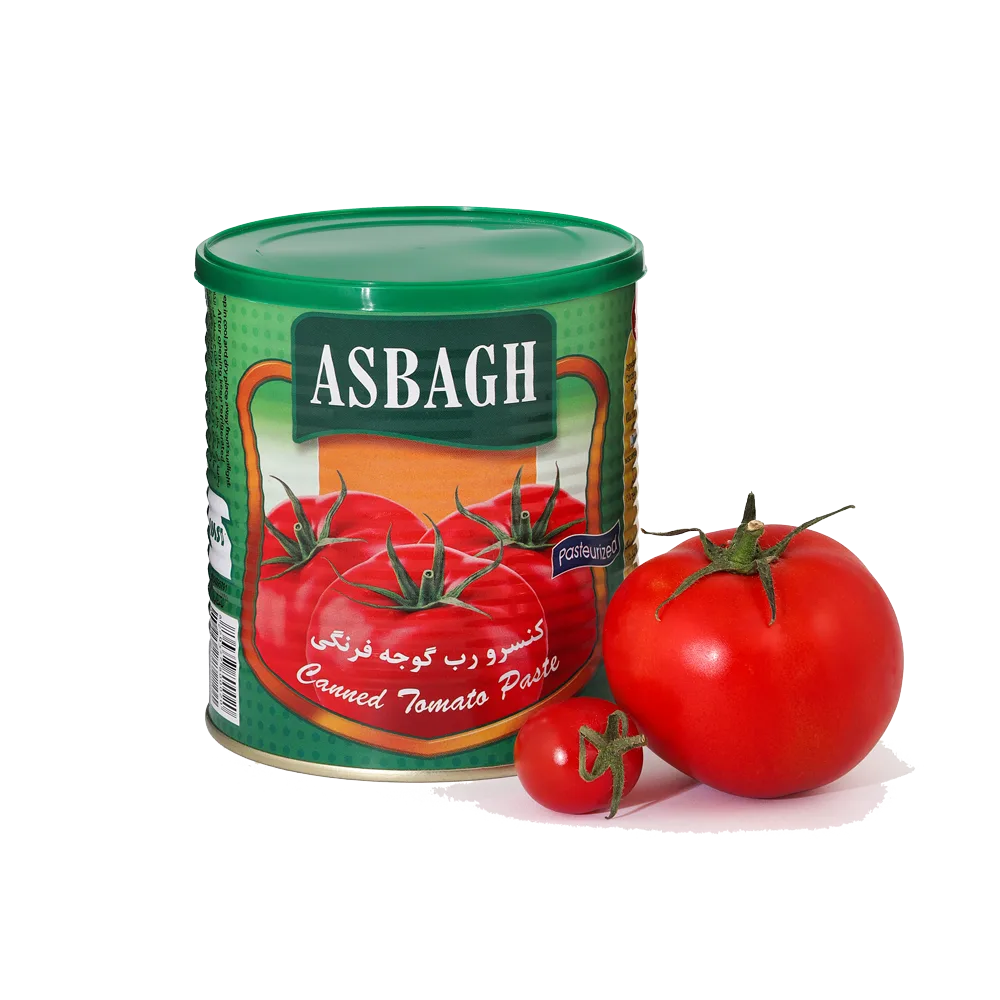 رب گوجه فرنگی 800 گرمی اسبق